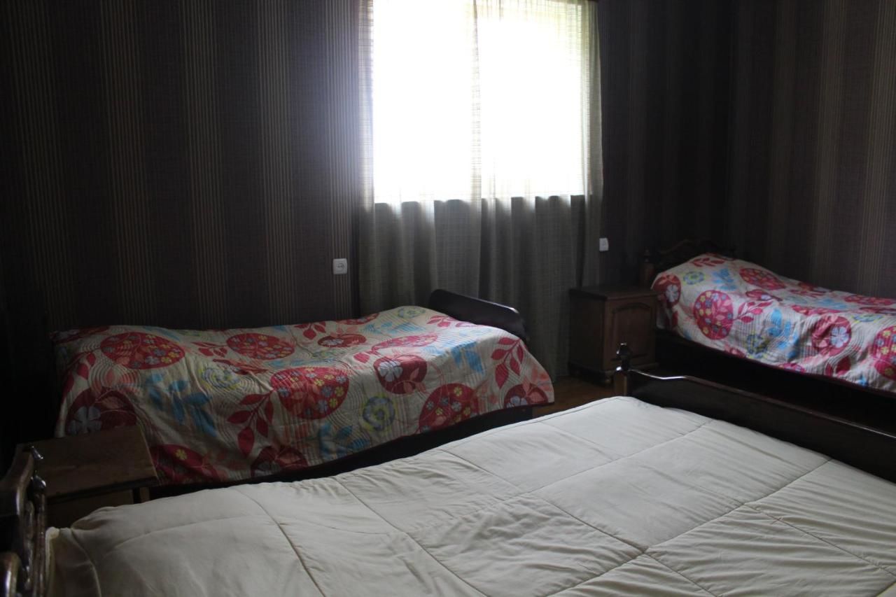 Гостевой дом Guesthouse Ninia Местиа-23