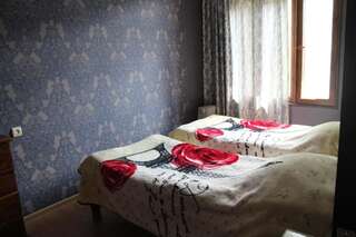 Гостевой дом Guesthouse Ninia Местиа Стандартный двухместный номер с 2 отдельными кроватями и общей ванной комнатой-4
