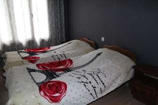 Гостевой дом Guesthouse Ninia Местиа Стандартный двухместный номер с 2 отдельными кроватями и общей ванной комнатой-36